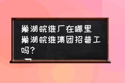 巢湖皖维厂位置与招聘信息详解 人力资源咨询服务指南